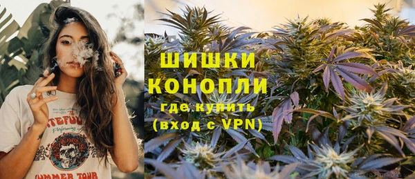 прущая мука Бородино