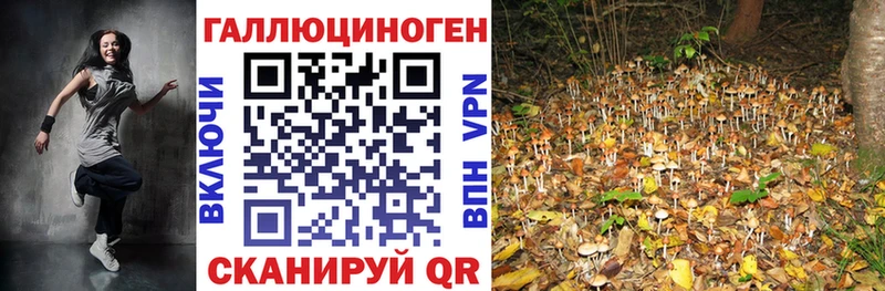 Псилоцибиновые грибы Psilocybine cubensis Кострома